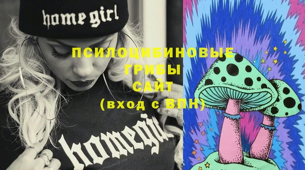 молекула духа Лабытнанги
