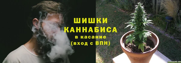 молекула духа Лабытнанги