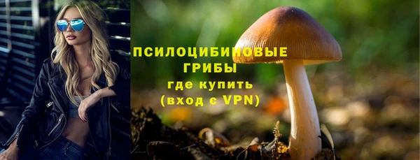 прущий лед Лагань