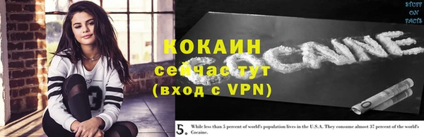 молекула духа Лабытнанги