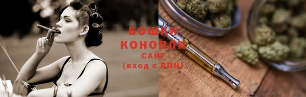 молекула духа Лабытнанги