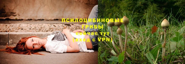 прущий лед Лагань