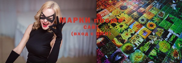 молекула духа Лабытнанги