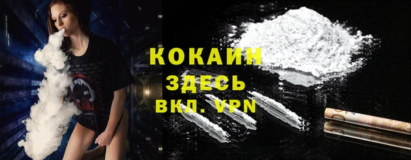 молекула духа Лабытнанги