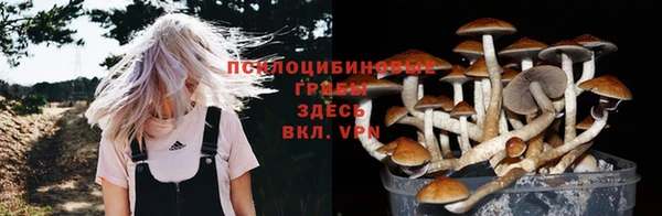 прущий лед Лагань