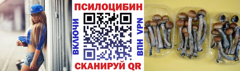 Галлюциногенные грибы Cubensis  Купить  Можайск 